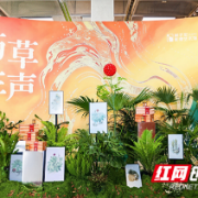 免费看!“中国植物画第一人”曾孝濂作品来长沙了