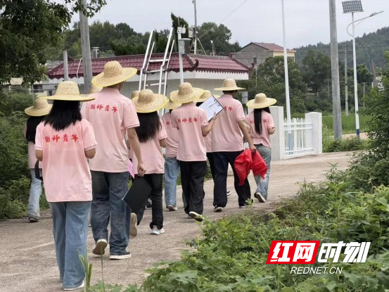 张瑶