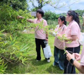 衡阳师范学院生命科学学院实践团走进莲湖湾湿地公园开展生态保护行动