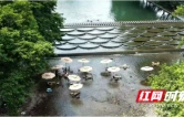 神秘湘西爽一夏丨吉首市隘口村清凉服务“上新”啦！