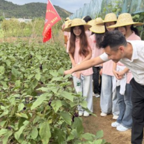 衡师经管学院三下乡:探寻衡东非遗“茶担子”的消费新场景