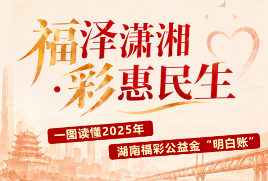 福泽潇湘 彩惠民生 | 一图读懂2025年湖南福彩公益金“明白账”