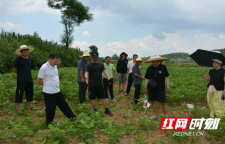湘西州农科院开展科研课题中期现场评议