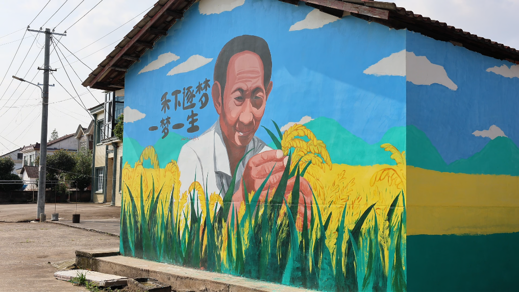 湖南常德:一位村干部和她的“墙绘乡村梦”