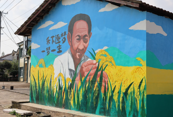 湖南常德：一位村干部和她的“墙绘乡村梦”