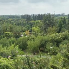 南通推进住房公积金单位业务“全程网办”