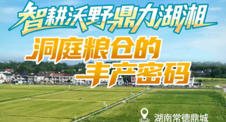 同题共答·粮安中国丨智耕沃野 鼎力湖湘——洞庭粮仓的丰产密码