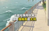 视频 | 台风来临 这份科学防范指南请查收