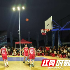 嘉禾县坦坪镇：村BA开赛 乡土赛场激荡乡村活力
