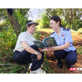 靖州税务：采挖季里送政策 茯苓地里话合规