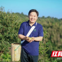 乡村追梦人 | 胡自荣 : 从荒山到掌心 一颗油茶果的蜕变