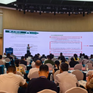 打造优质行业生态，湖南旅行社协会组织专项提升培训