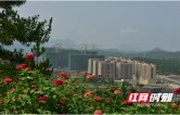 购房契税补贴80%！2026年永顺县房交会购房惠民政策汇总