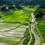 视频丨永州双牌：一溪山泉换新颜，活水润泽黄江源