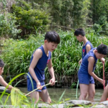 山水寻幽光影逐梦 暑期文旅盛宴点亮桃花源盛夏