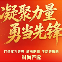 划重点！一图读懂芦淞区第七次党代会报告