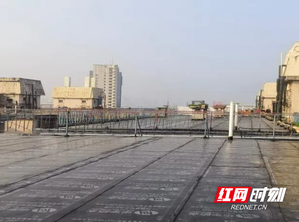 图片 1.png 图片 1.png