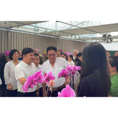 娄底“三下乡”热度直抵蝴蝶兰基地:一座废弃粮仓里的“花样蝶变”
