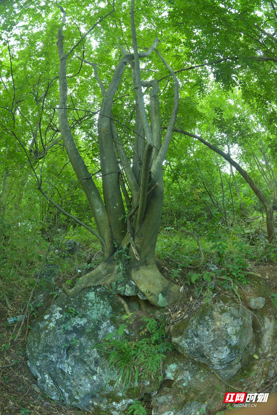 DSC_8023.JPG