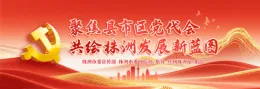 专题丨聚焦县市区党代会 共绘株洲发展新蓝图