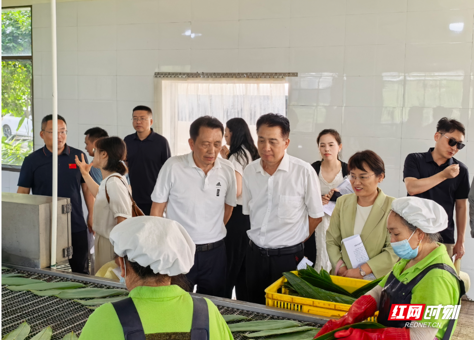 湖南农业大学专家服务团赴桑植龙山“把脉”特色产业