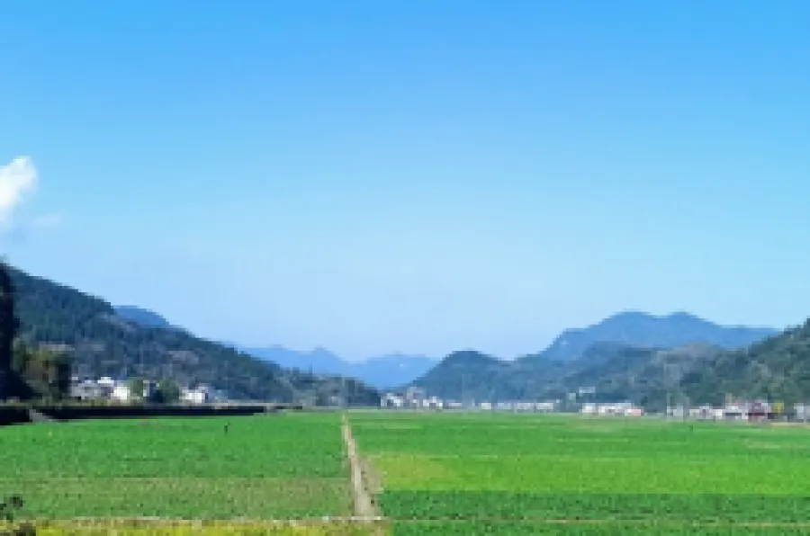  沅陵荔溪乡的“绿金”账本：看一座深山乡镇如何把风景变“钱景”