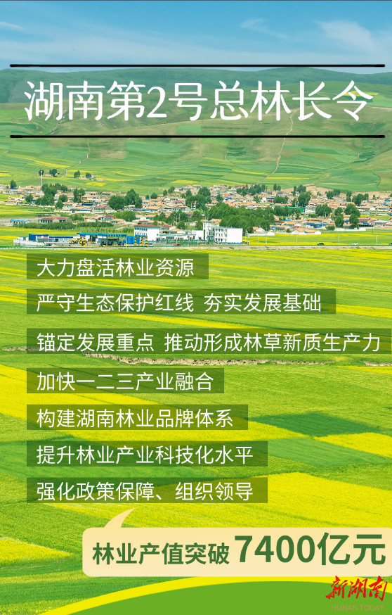 湖南发布2026年第2号总林长令 锚定林业产业产值“十五五”突破7400亿元