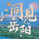 洞见岳阳丨织密病虫防控网，守护“洞庭粮仓”金名片