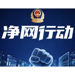 郴州市网信系统2026年上半年网络管理与执法10大案例