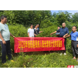 衡阳县:黄金茶种植培训进基地 助残疾学员家门口上岗