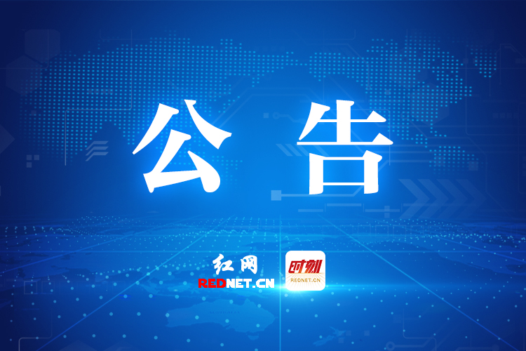 株洲市九方中学2026年专职宣传干事招聘启事