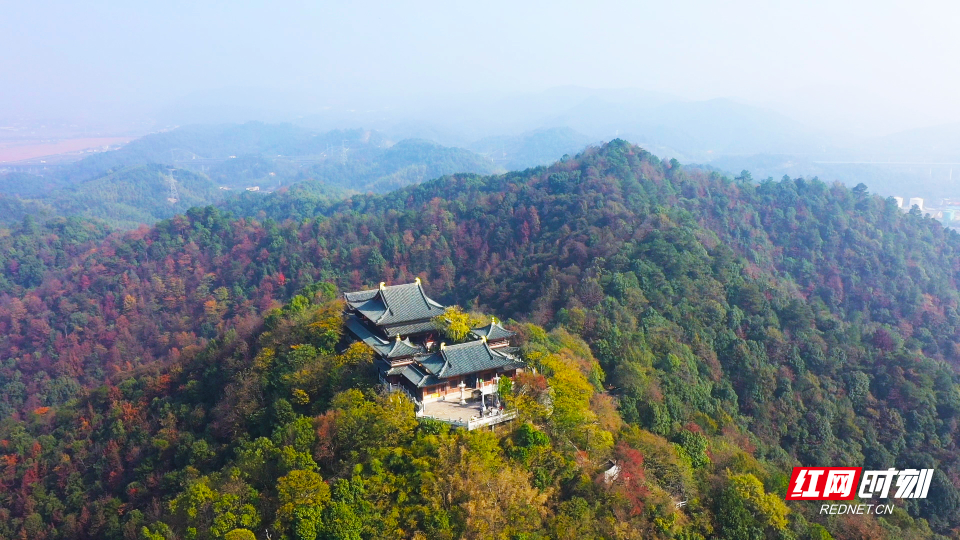 图片1.png 图片1.png