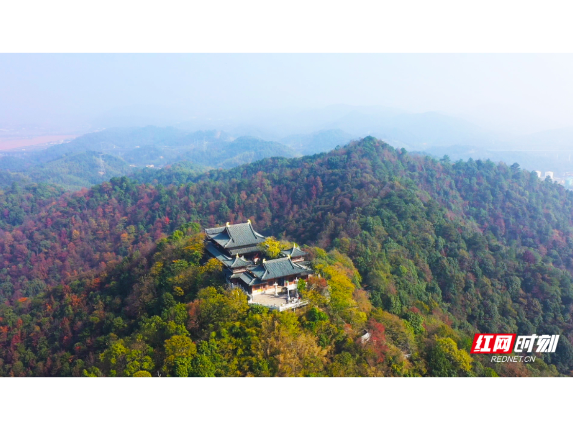 岳塘区：长株潭“城市绿肺”再添守护屏障