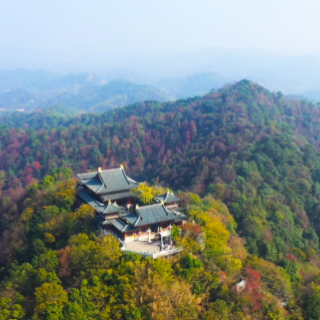 岳塘区:长株潭“城市绿肺”再添守护屏障