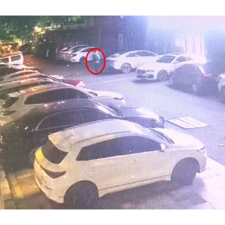 千里追击，蒸湘警方破获一起盗窃车内财物案