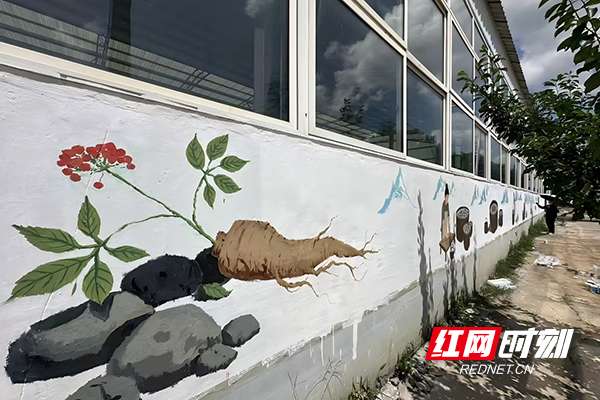 WPS图片(7).png