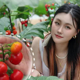 苏仙区坳上镇山朵山农场奇瓜异果等你来！