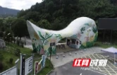 视频丨“空壳村”逆袭样本：双牌县霞灯村的振兴三部曲
