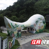 视频丨“空壳村”逆袭样本:双牌县霞灯村的振兴三部曲