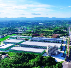 潮涌石鼓焕新颜!石鼓区“十四五”高质量发展勾勒奋进图景