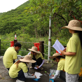 湖南环境生物职业技术学院青年学子赴基层开展生态环境专项实践助力乡村绿色发展