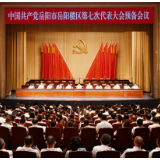 岳阳楼区召开第七次党代会预备会议