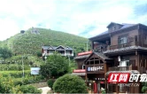 夏日清甜正当时！吃葡萄，就来泸溪县黑塘村狮子山