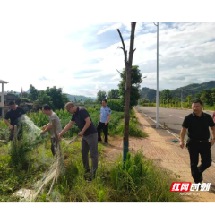 洪江市扎实开展“清网护飞”行动 守护鸟类栖息安全