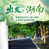 出发,湖南⑬|沿着安乡县下同线林荫大道,赴一场洞庭水乡田园之约