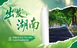 出发，湖南⑬|沿着安乡县下同线林荫大道，赴一场洞庭水乡田园之约