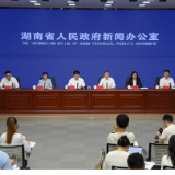 湖南金融“五篇大文章”领域贷款占比超4成