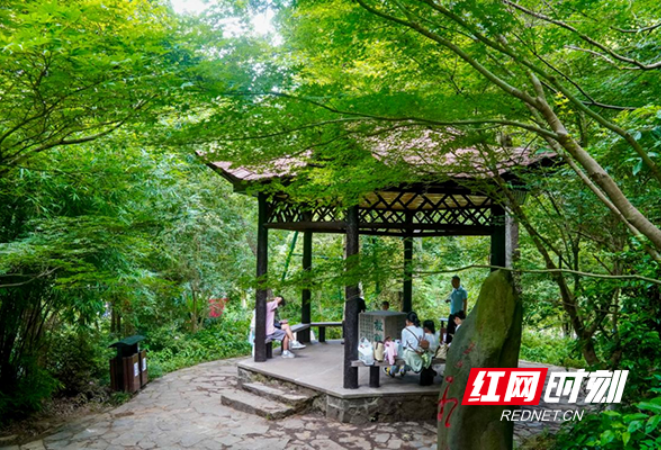 亭台焕颜、厕所提质，岳麓山开启“美颜+实用”双模式