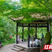 亭台焕颜、厕所提质,岳麓山开启“美颜+实用”双模式