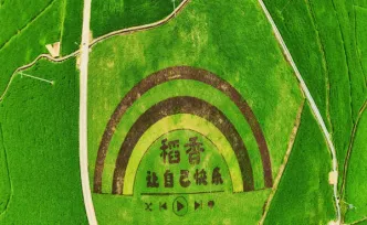视频丨桂东：风吹稻香浓